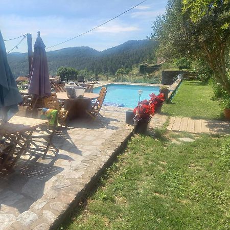 Le Mercou En Cevennes Saint-Martin-de-Boubaux Екстер'єр фото