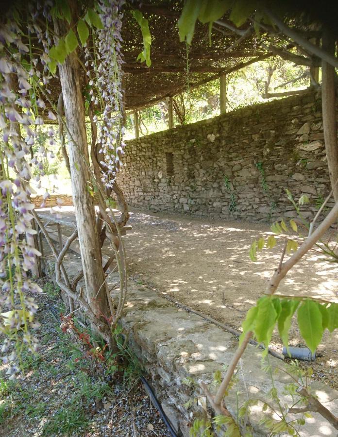 Le Mercou En Cevennes Saint-Martin-de-Boubaux Екстер'єр фото