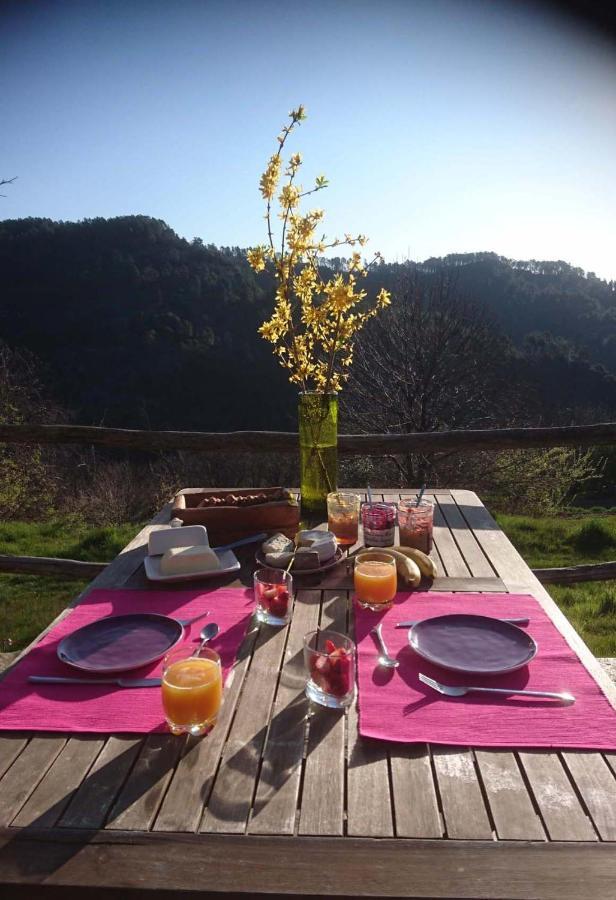 Le Mercou En Cevennes Saint-Martin-de-Boubaux Екстер'єр фото